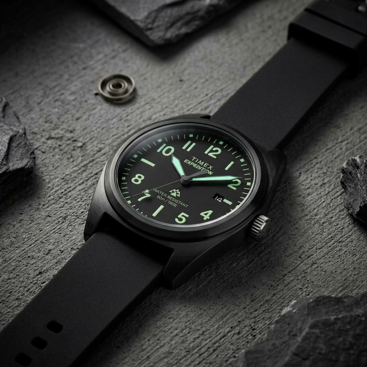 Montre field Timex Expedition Capstone noire homme TW2Y18100_details